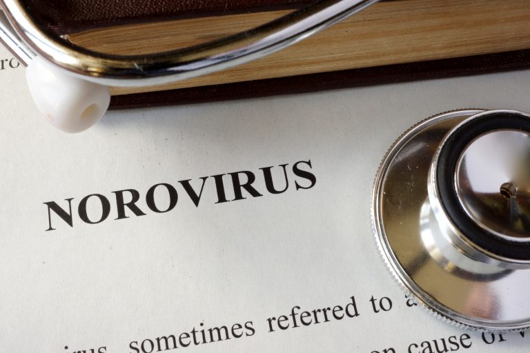 Page with diagnosis Norovirus.