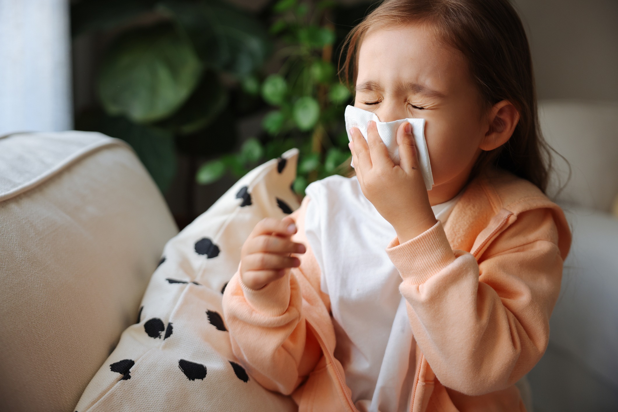 THD Urges Respiratory Illness Prevention as Flu Season Nears Peak