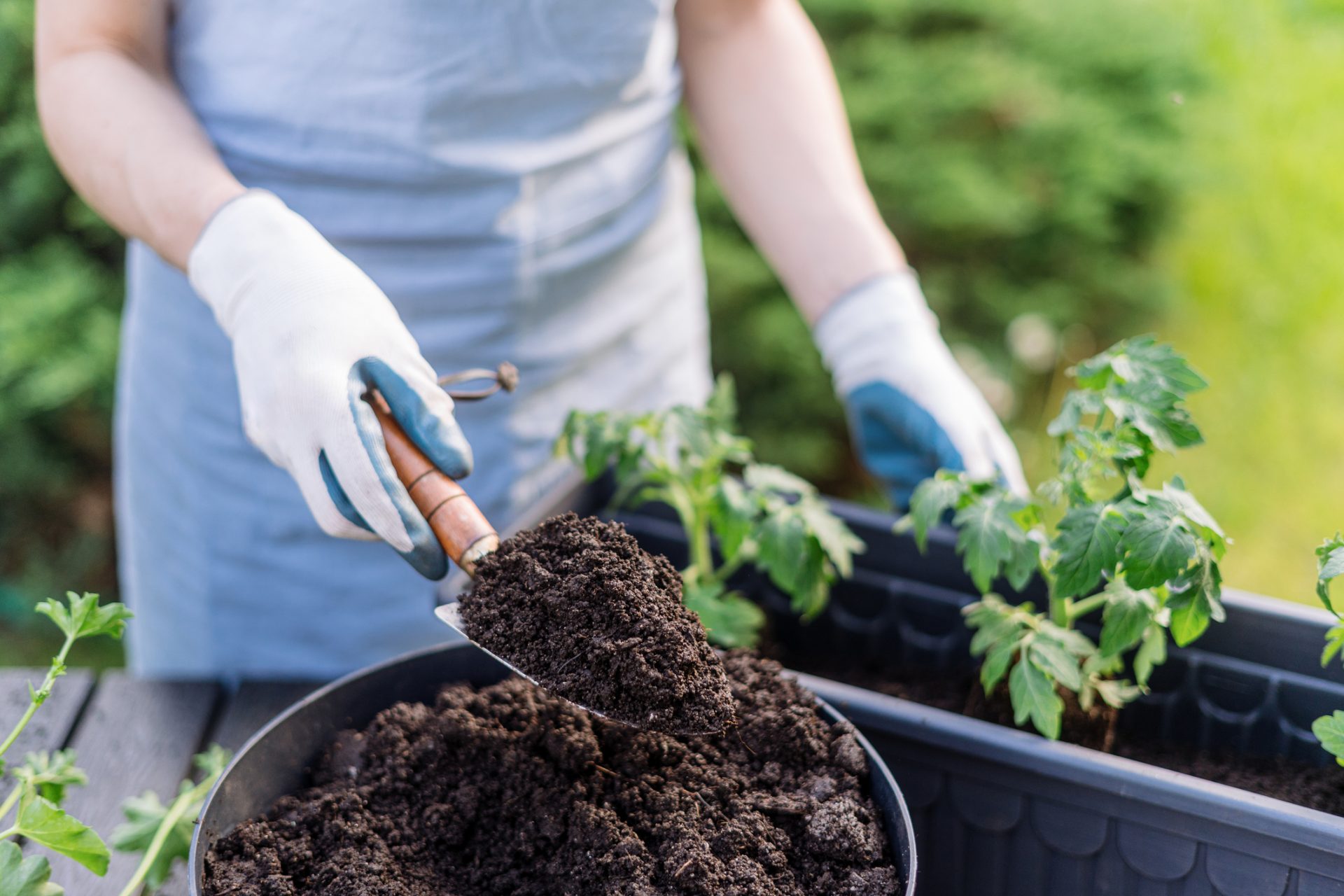 Where Does Your Garden Grow?