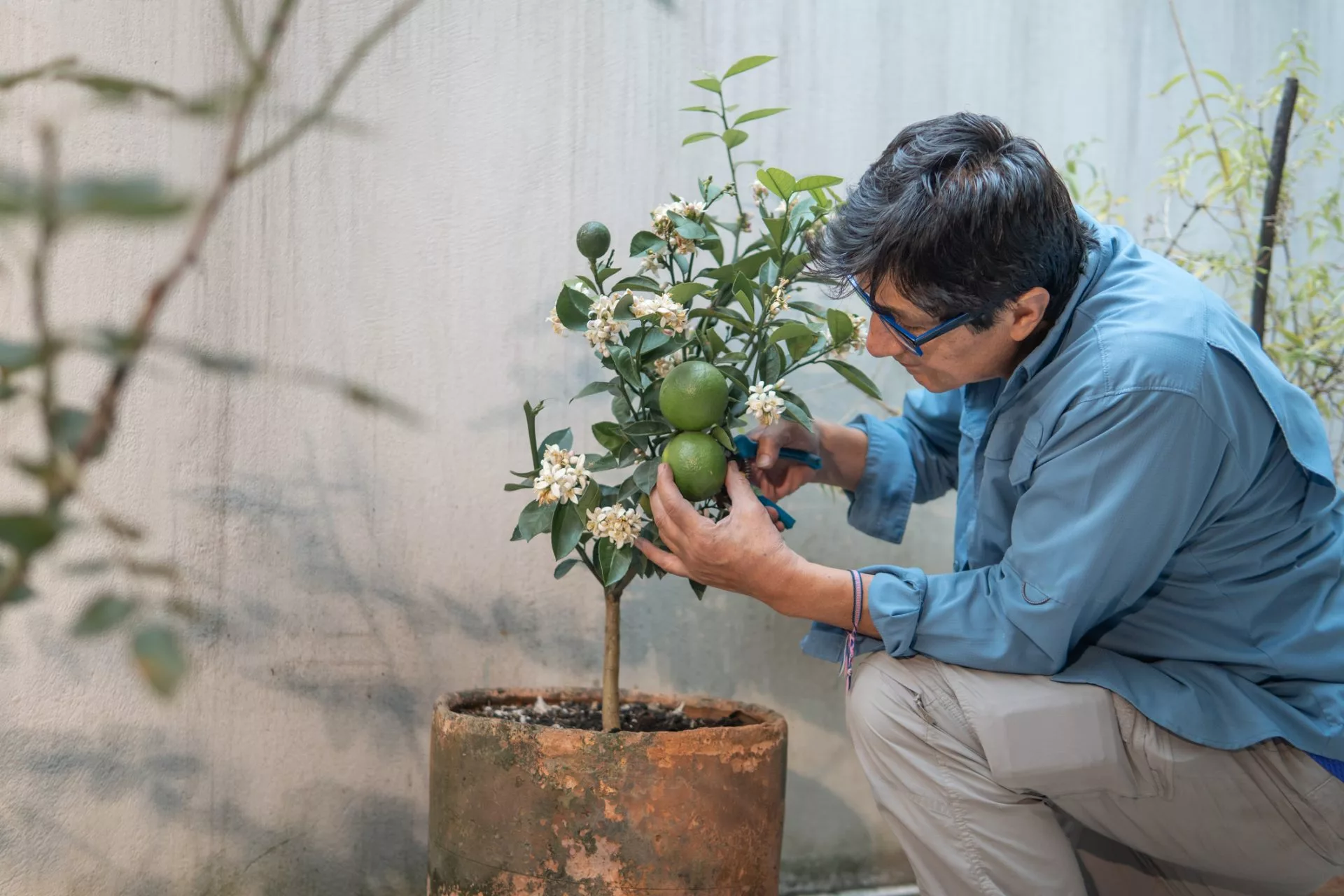 Grow Your Own and Enjoy the Fruits of Your Labor